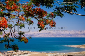 View of the Dead Sea, Israel 