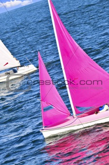 Small sailboats