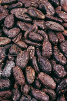 Cocoa beans - background