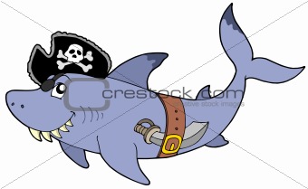 Cartoon pirate shark