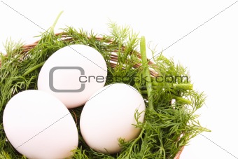 eggs in nest isolated on white