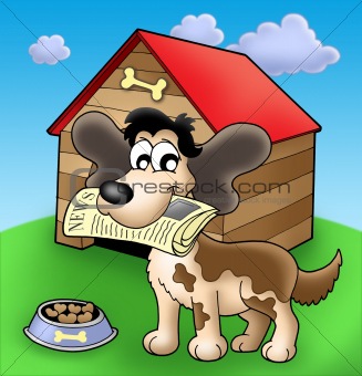 Dog with news in front of kennel