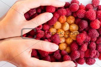 holding raspberries