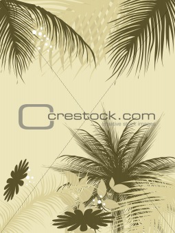 palm leaves background with daiy illustration