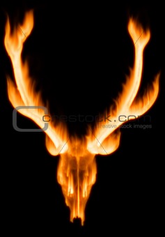 Animal horn with flames