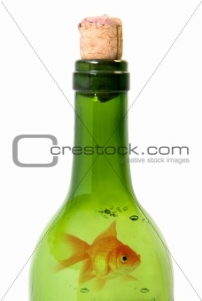 Bottle of wine and goldfish