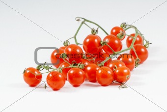 Little Red Tomatoes.
