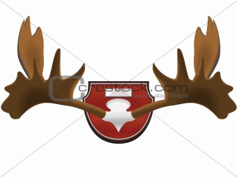 hunting trophy - horns