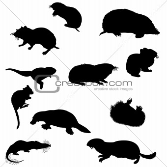 beavers silhouettes set