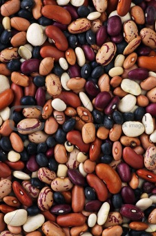 Dry beans