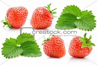 set fresh red strawberry with green leaves