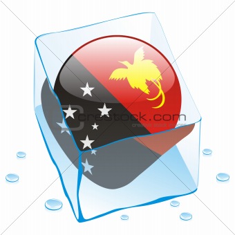 vector illustration of papua new guinea button flag frozen in ice cube