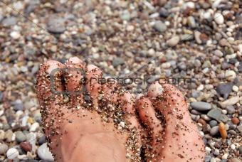 Toes in pebble