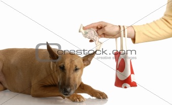 paying for expensive dog