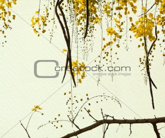Golden Shower Tree on Handmade Paper