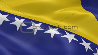 Bosnian flag in the wind