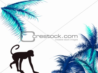 Monkey and palm
