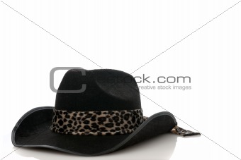 A Black cowboy hat 