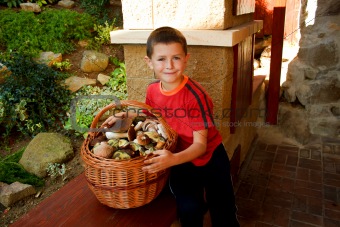 Small boy, mushroom picker