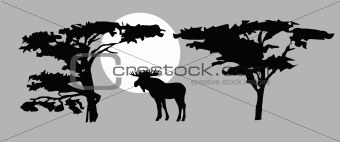 vector  drawing moose on background sun