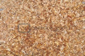 Wood chips and sawdust texture (background)