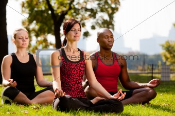 City Park Yoga