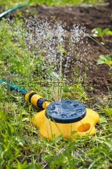 Yellow sprinkler irrigating garden