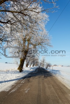 Winter road on a sunny frosty day