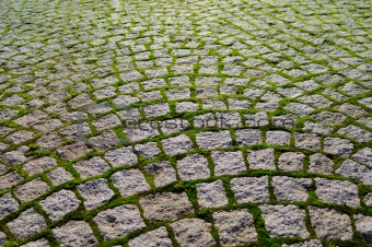 A cobblestone with grass bricks showing perspective.