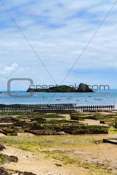 Oyster beds in Cancale, France