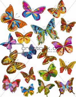 Set of beautiful multicolored butterflies