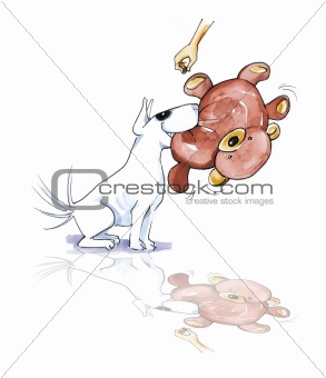 Bull terrier with teddy bear