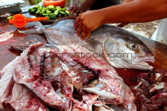 fishmonger preparing amberjack fish fillet