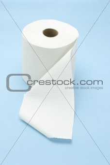 White toilet roll 