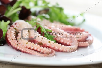 Octopus with salad