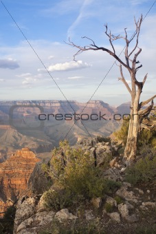Beautiful Landscape of the Grand Canyon, Arizona.