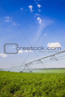 Irrigation in Field / agriculture