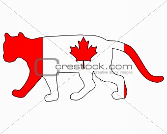 Cougar Canada