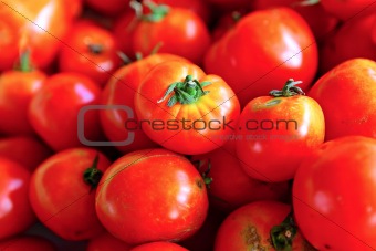 organic tomato in market