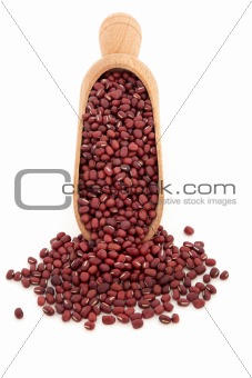 Aduki Bean Pulses