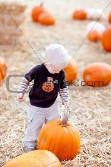 toddler and pumpkin