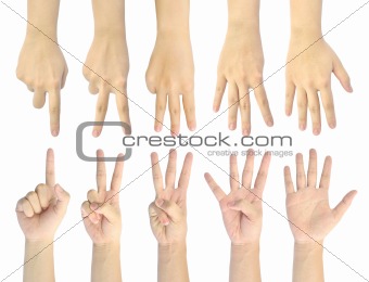 set counting number 1-5 of woman hand isolated on white background