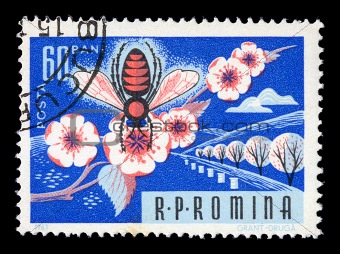 honey bee on flower vintage postage stamp