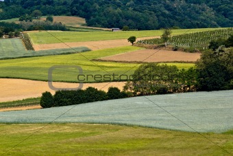 Fields, vineyaard, forest & meadow green layers