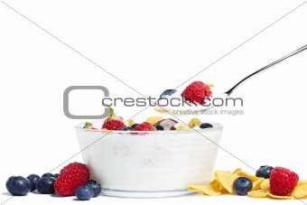 yogurt with wild berries