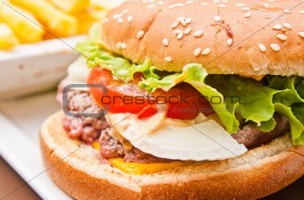 cheese burger with fresh salad
