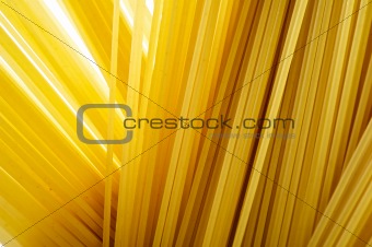 Long spaghetti background