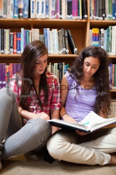 Portrait of female students reading