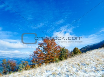 First winter snow and autumn colorful foliage on mountainside