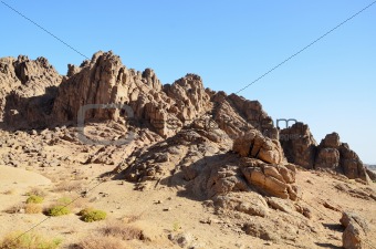 Desert landscape 